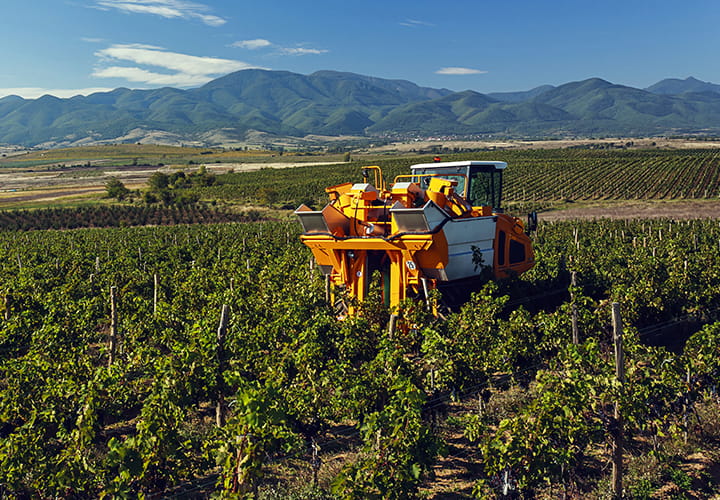 Trelleborg Grape Harvester tires