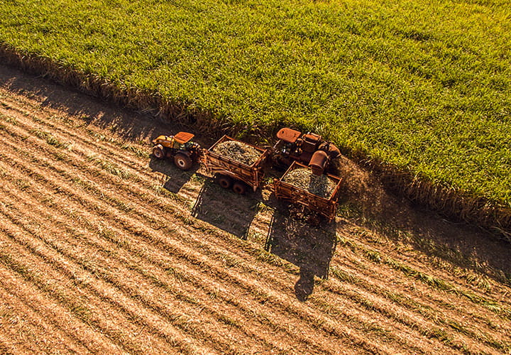 Trelleborg Sugar Cane Harvesters tires