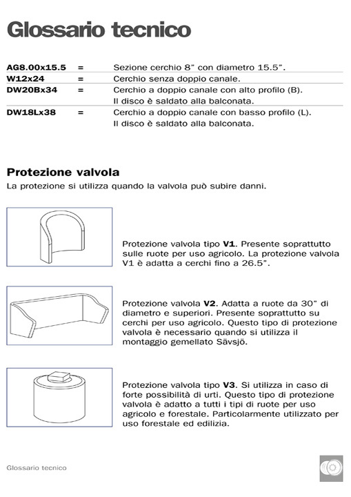 RIM_GlossaryInformation_ITA-1